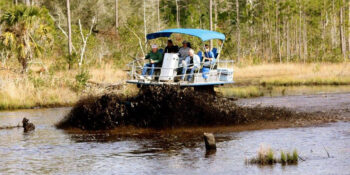 swamp-buggy-350×175
